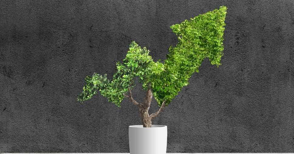 Planta em vaso com formato de seta ascendente representa a sustentabilidade lucrativa.